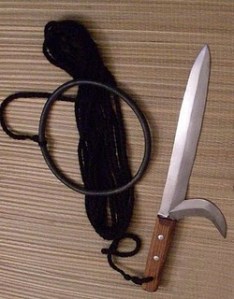 1kyoketsu_shoge_kovina