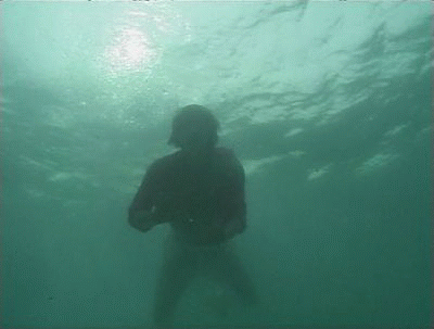 pollyanna132944370721913106898_FH5