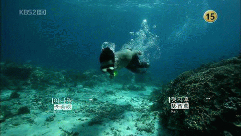 pollyanna132944395260013106569B