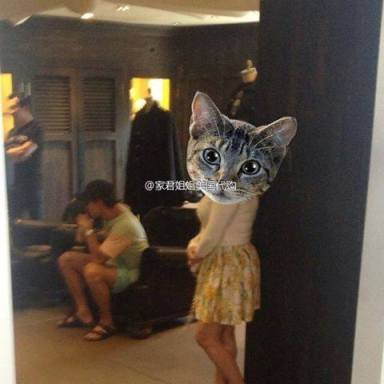 1185139_553749881348102_1632175339_n