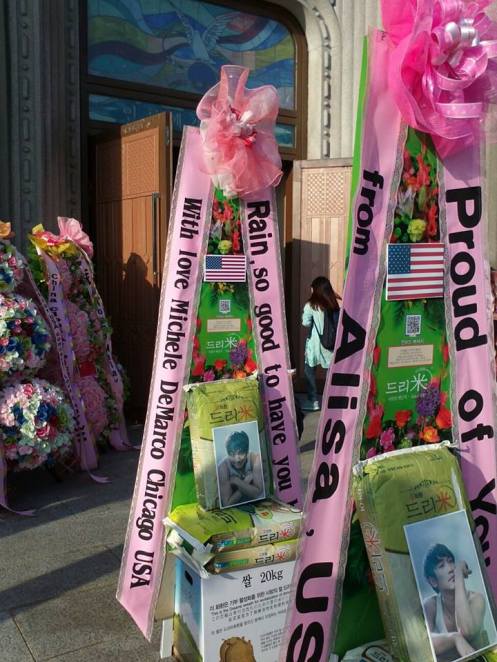 995224_311186792356619_1331062860_n