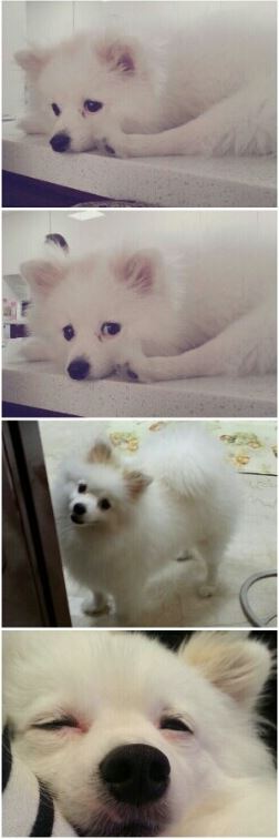 Jangoonie10302013Hana_CUSA