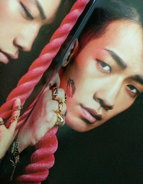 1507959_1464151183806822_1136732039_n