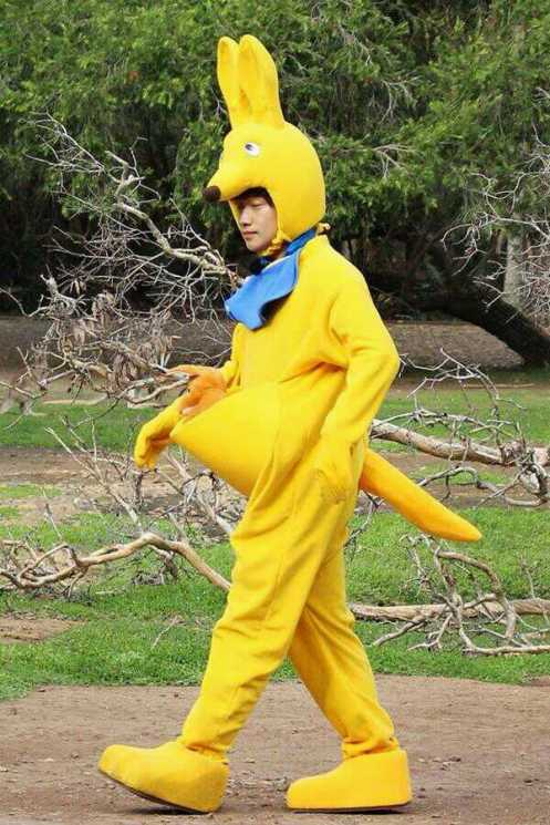 3351129431_715e46d0_1393299537551