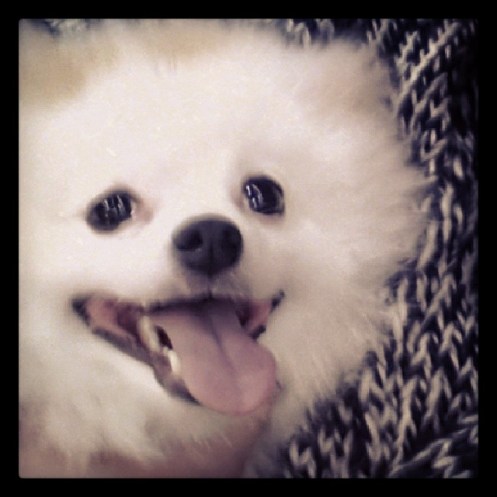 ea3b7ce2a32e11e39b7d1242f82131a8_8