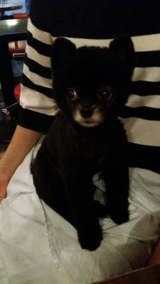 10417677_10201450792912165_1798541423862276702_n