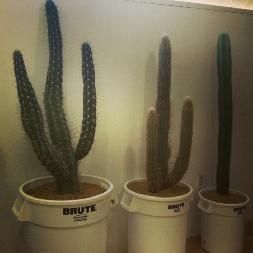 10684134_800650919977220_1669164221_n