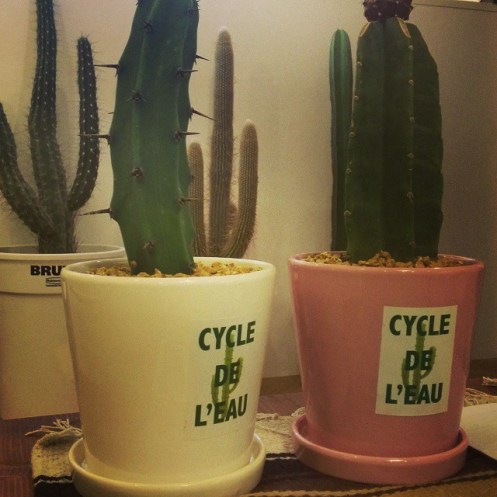 10691697_326074604228886_1323711700_n