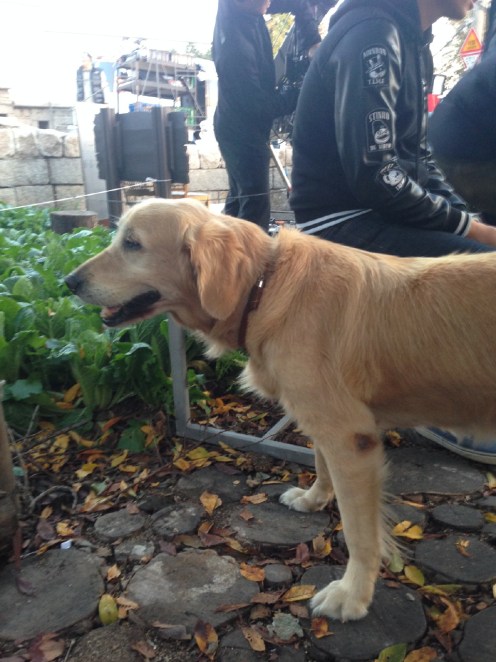 968a20ccjw1elk0w3xzdsj21w02io4qq