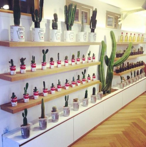 CDLcactusboutiquecafeYeonnamdongBbaekGa3_CUSA