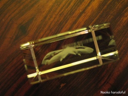 o0550041213472614024