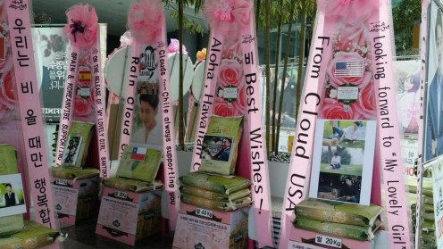 Image credit: The Dreame Garland Co. Korea / @dreamecokr