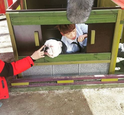 12784117_1047354515303635_274070265_n