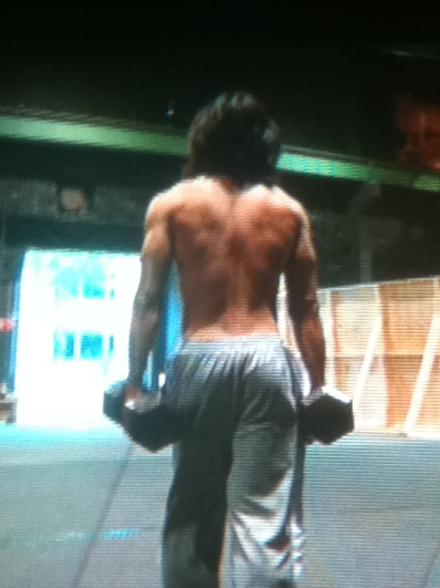 daniellesimages266_tigeress2010