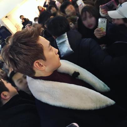 14597242_249365962165137_4490052488770093056_n