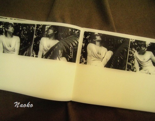 o0550042913854368299